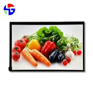 10.1 inch TFT LCD Panel, High Resolution, 1920x1200, MIPI Interface (2)